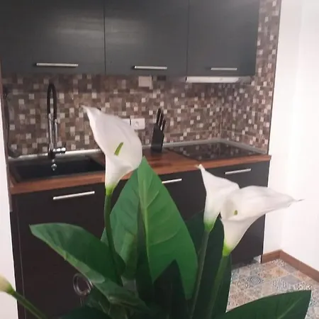 Loft 113 Apartment Corralejo
