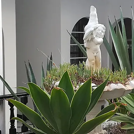 Loft 113 * Corralejo